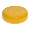 Gouda Holland (BGA) 48+ jong4.5kg