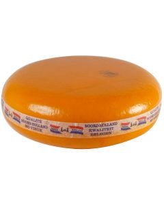 Gouda belegen Noord Holland 18kg