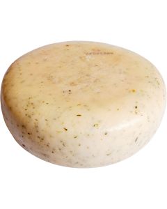 Gouda de chèvre ortie